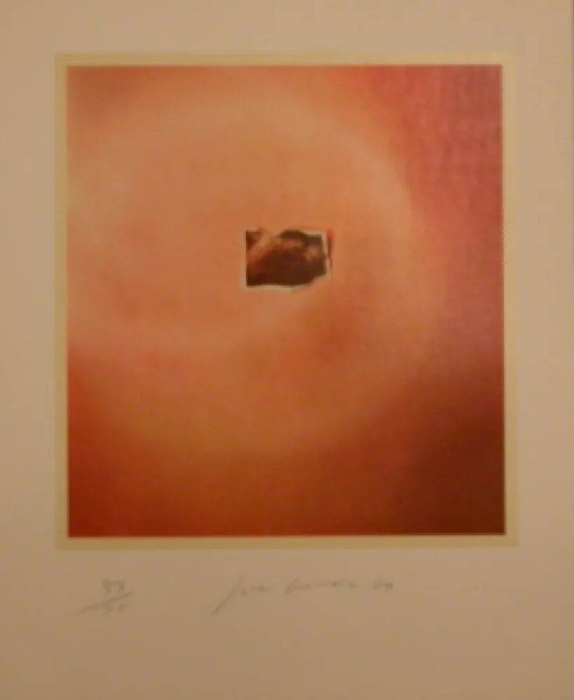 Litografía Goode - Six Lithographs (creased photo on orange background)