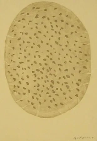 Aguafuerte Gordillo - S/T