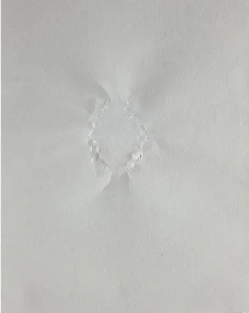 Múltiple Gordon - Signature