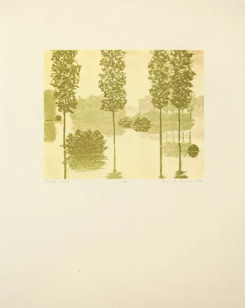 Relieve Gornick - Flood Light, from Art Pro-Choice II