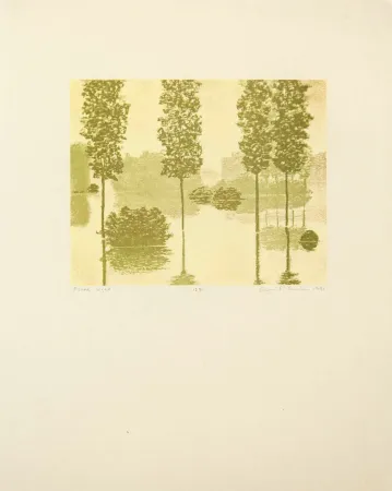 Relieve Gornick - Flood Light, from Art Pro-Choice II