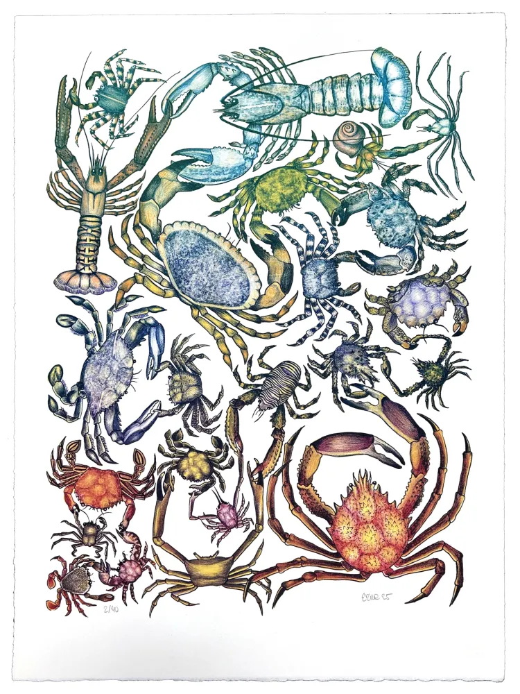 Litografía Gosset - Prise de Pince 