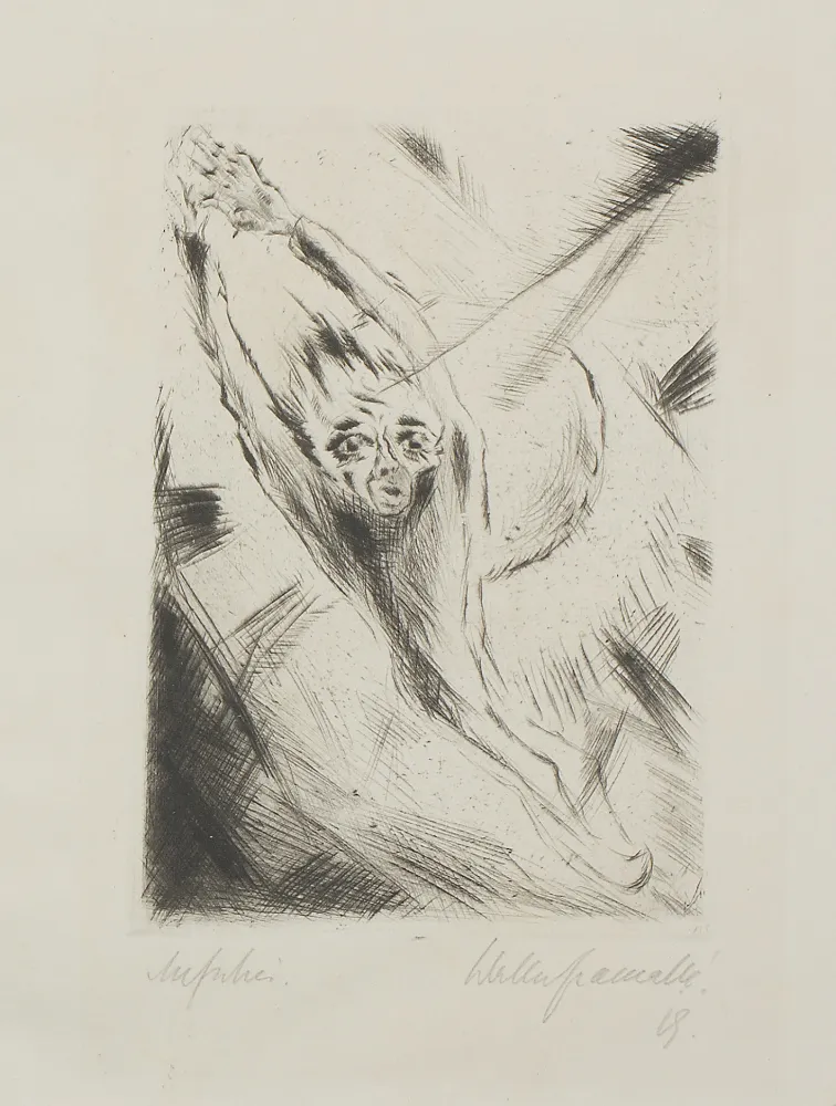 Sin Técnico Gramatté - Aufschrei, (Scream) 