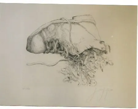 Grabado Grass - Kippen and Schun