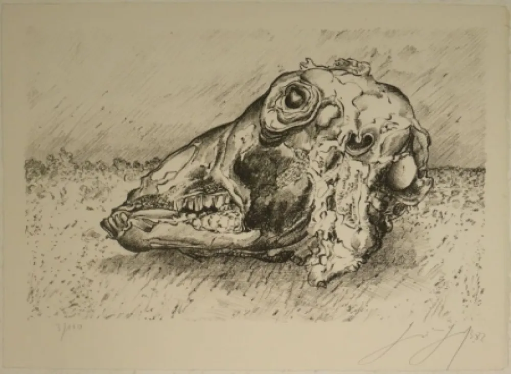 Litografía Grass - Schafskopf.