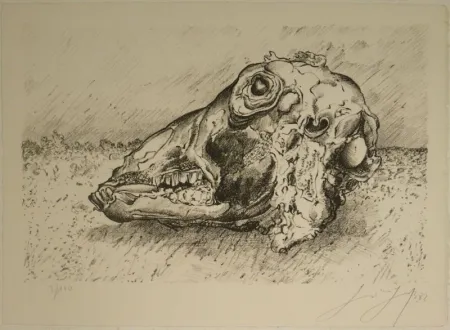 Litografía Grass - Schafskopf.