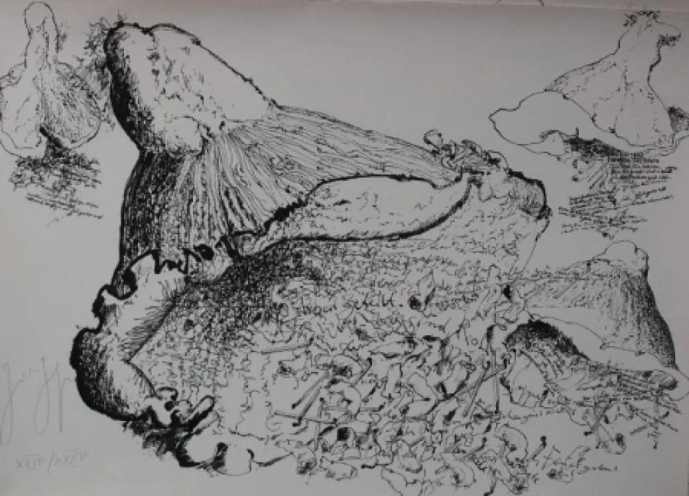 Litografía Grass - Senza titolo