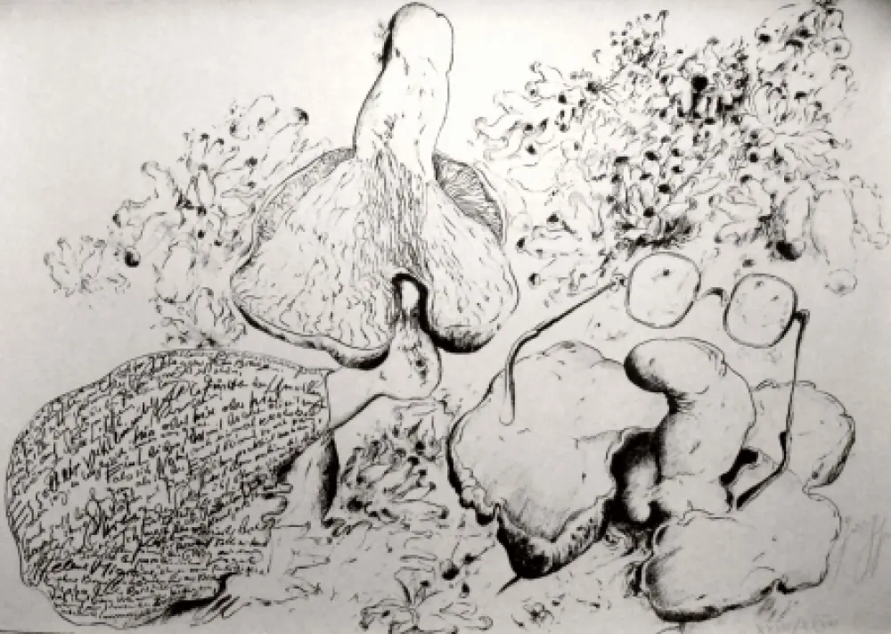 Litografía Grass - Senza titolo