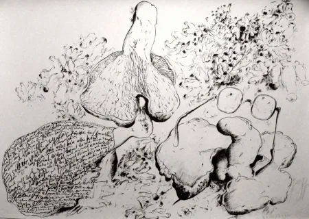 Litografía Grass - Senza titolo