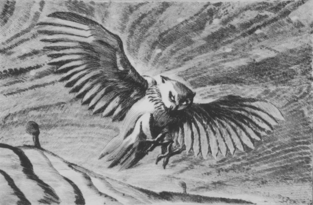 Punta Seca Grasselli - Verso la notte