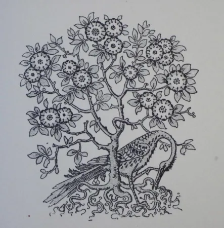 Grabado En Madera Grasset - Ornements typographiques