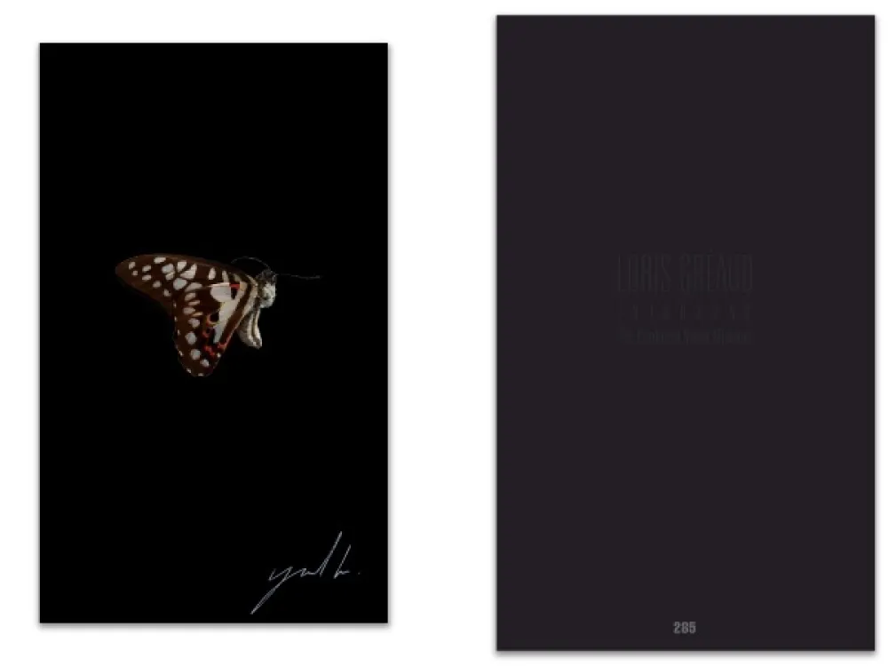 Libro Ilustrado Greaud - L'art en écrit