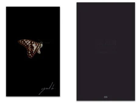 Libro Ilustrado Greaud - L'art en écrit