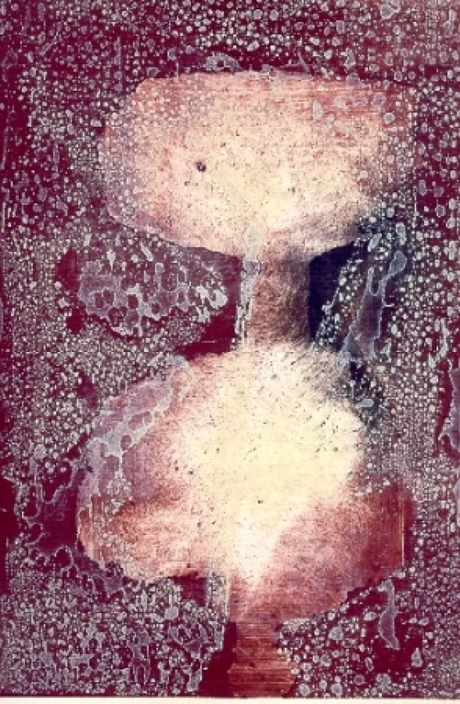 Libro Ilustrado Greco - E' femmina la terra