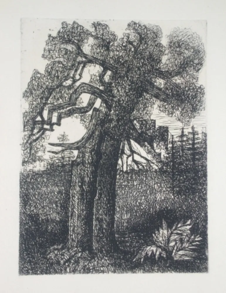 Punta Seca Gromaire - Le chêne