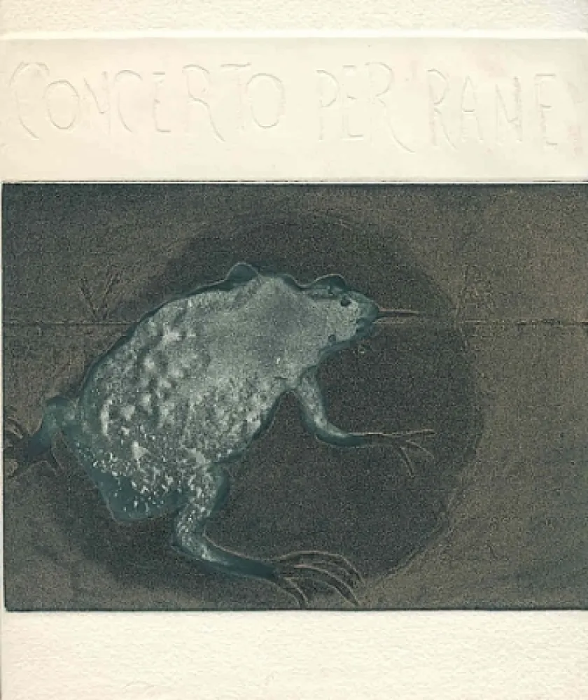 Libro Ilustrado Guarienti - Concerto per rane