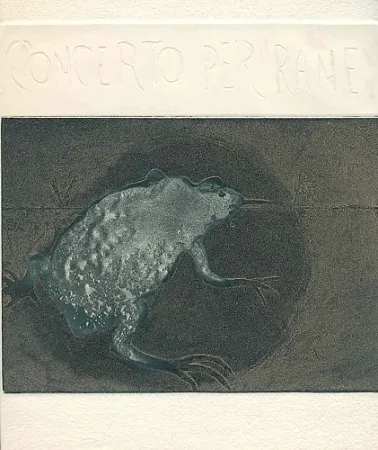 Libro Ilustrado Guarienti - Concerto per rane