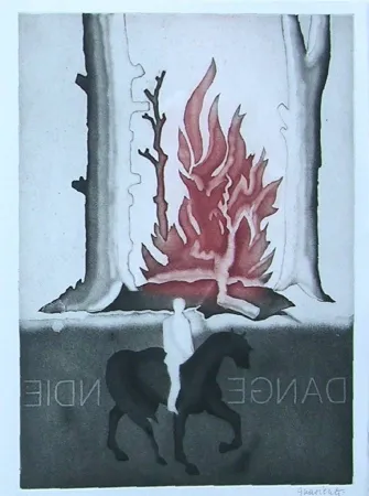 Libro Ilustrado Guarienti - Crachefeu