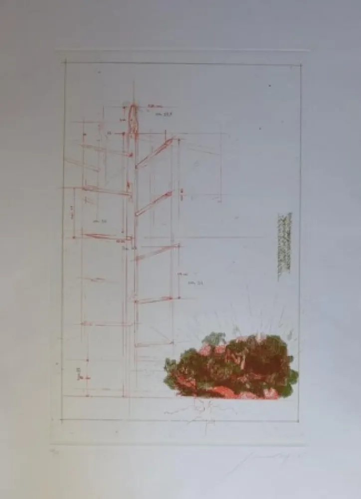 Aguafuerte Y Aguatinta Guccione - Limite di proprietà