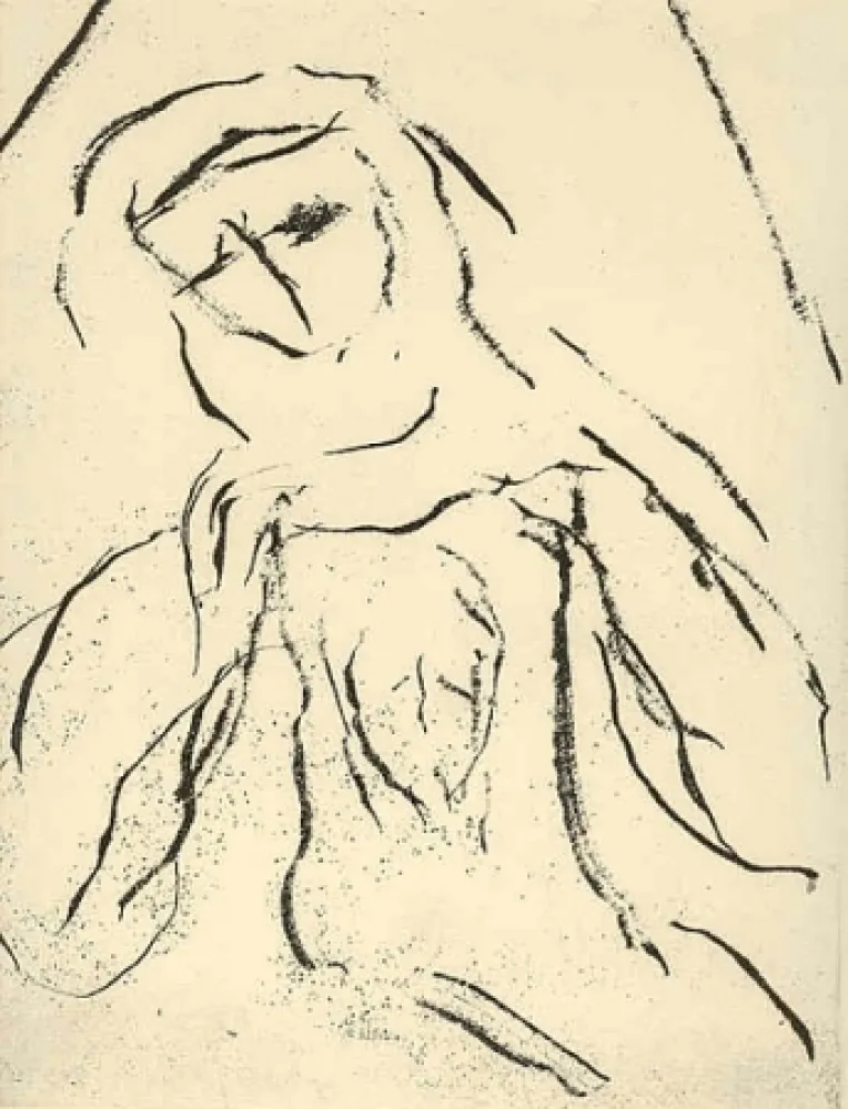 Libro Ilustrado Guidi - Le voile de Véronique