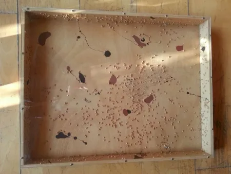 Sin Técnico Guinovart - Blat i coses 8