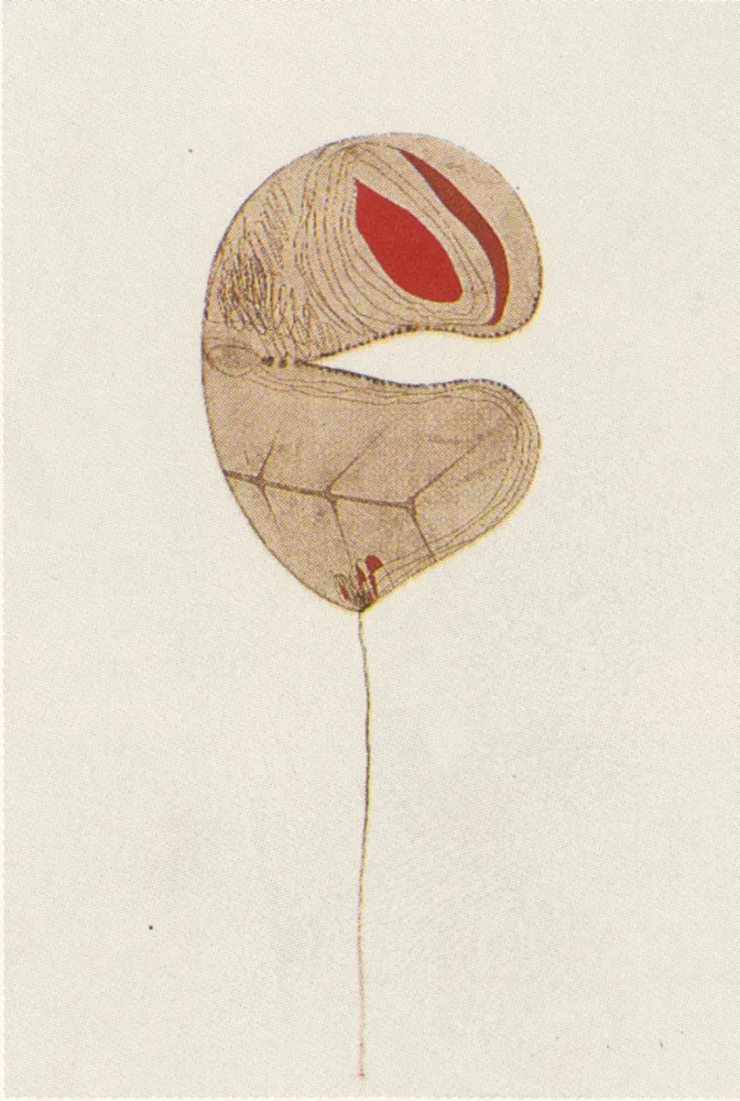 Múltiple Guinovart - Fulles-6