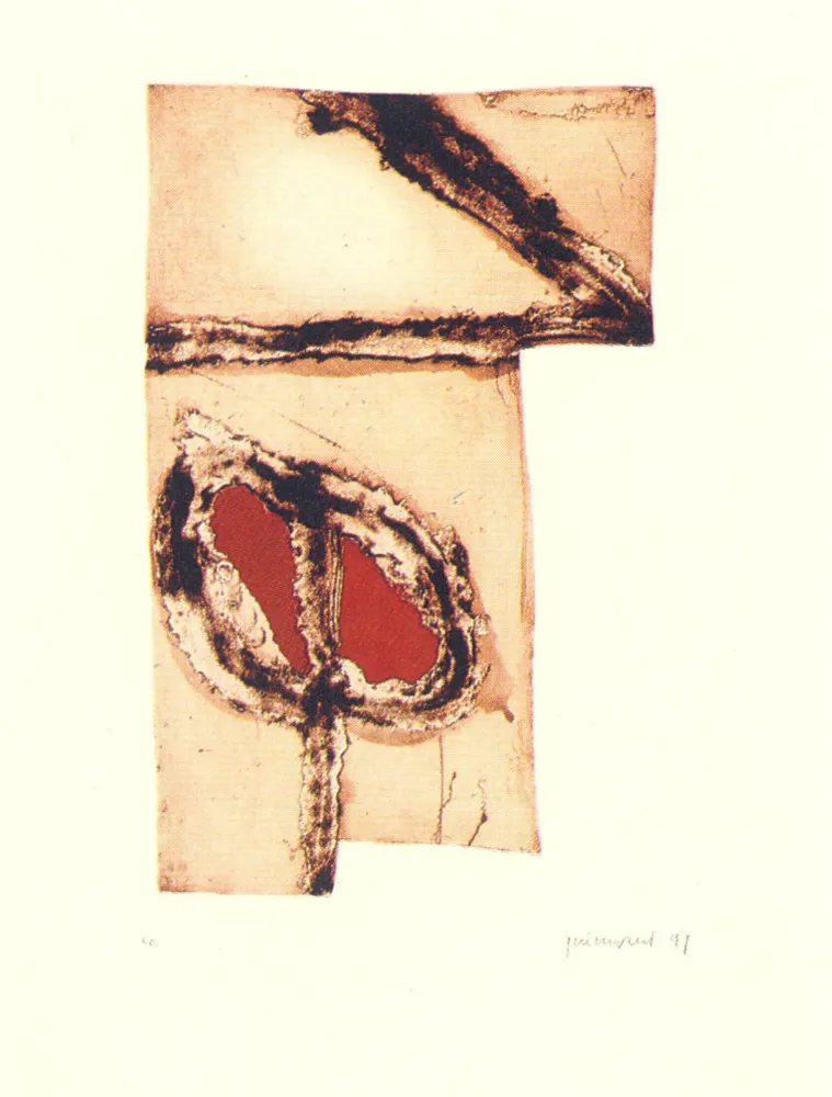 Múltiple Guinovart - Imatges i terra-5