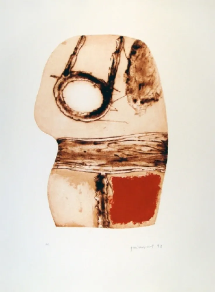 Aguafuerte Guinovart - Imatges i Terra II