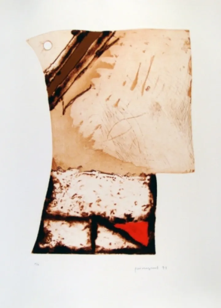 Aguafuerte Guinovart - Imatges i Terra III