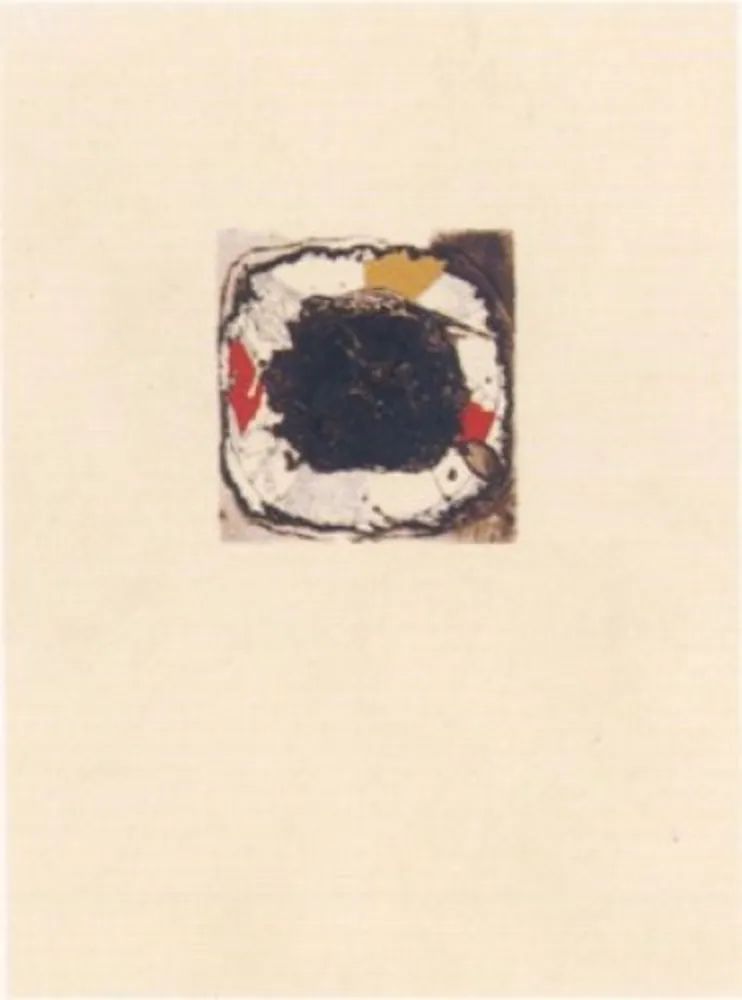 Grabado Guinovart - La magrana 4