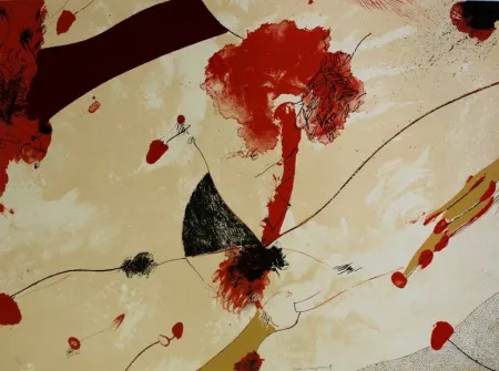 Litografía Guinovart - Natu