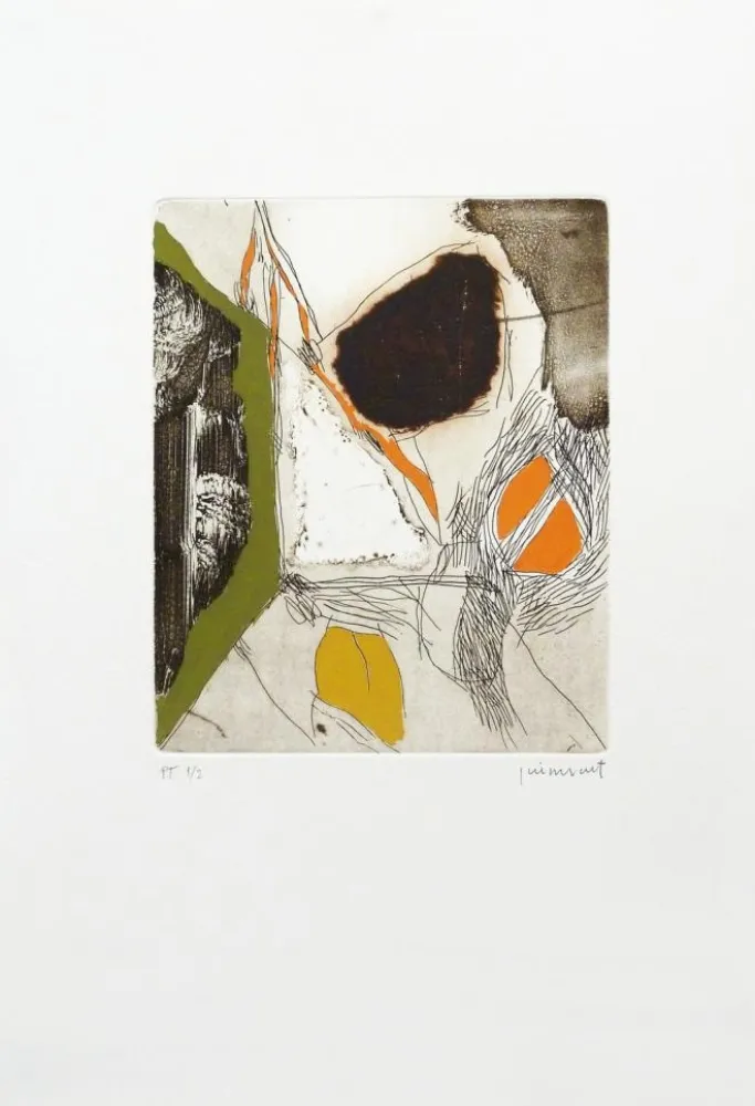 Aguafuerte Guinovart - Sèpia 2