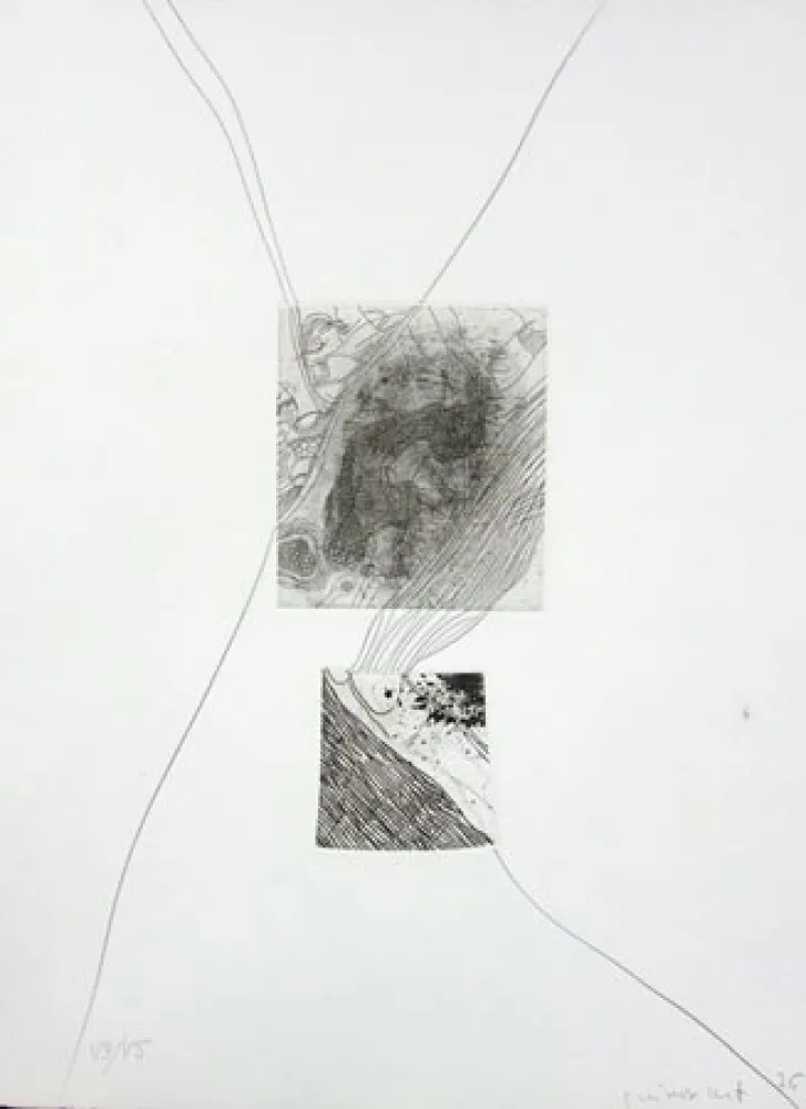 Aguafuerte Guinovart - S/T