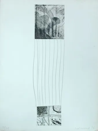 Aguafuerte Guinovart - S/T