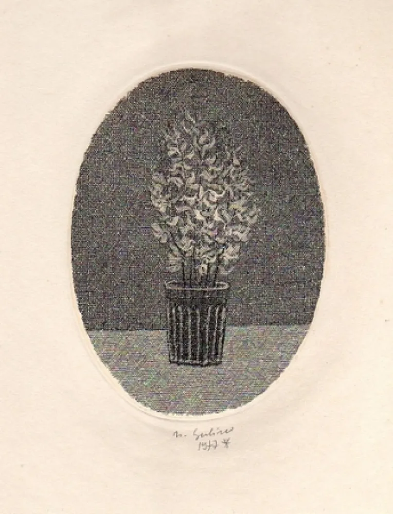 Libro Ilustrado Gulino - Canti