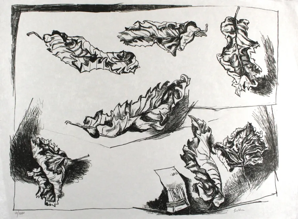 Litografía Guttuso - Foglie