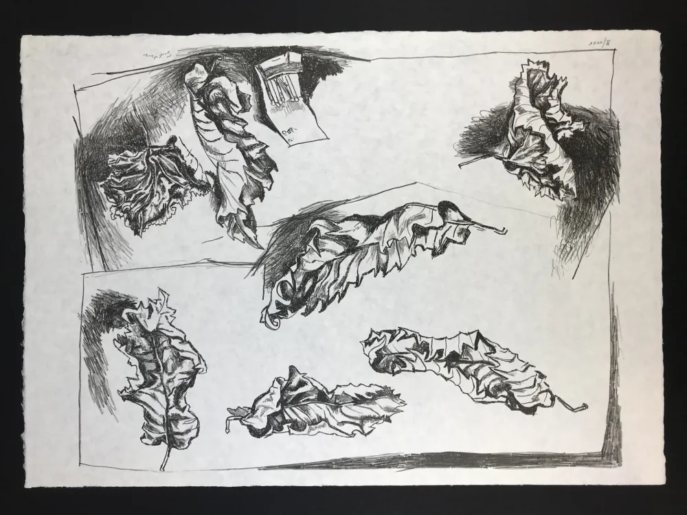 Litografía Guttuso - Foglie