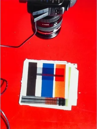 Múltiple Guyton - IMG_1919