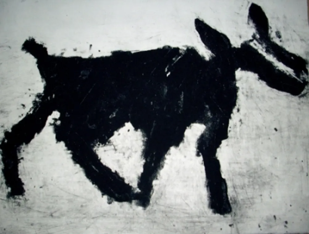 Carborundo Haas - Animal