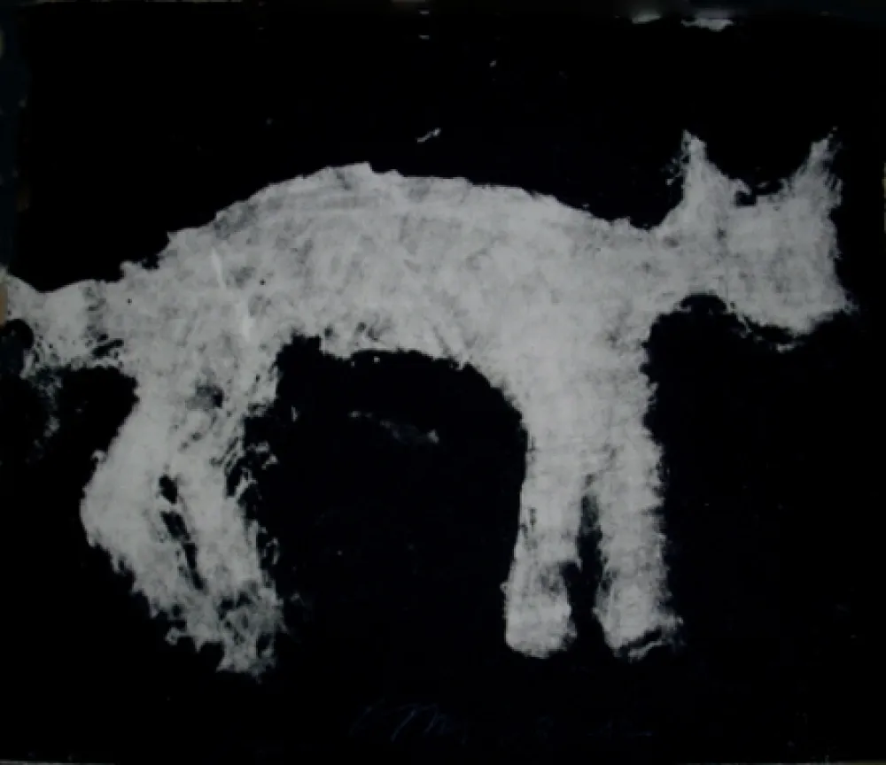 Carborundo Haas - Animal