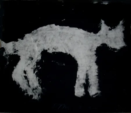 Carborundo Haas - Animal