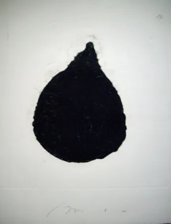 Carborundo Haas - Figue