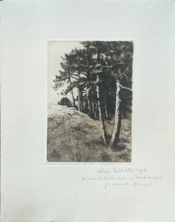 Punta Seca Haasbauer-Wallrath - Untitled (Kiefern am Waldrand)
