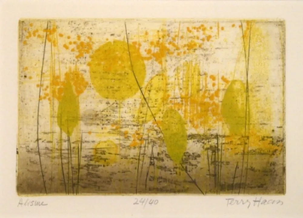 Grabado Haass - Alisme