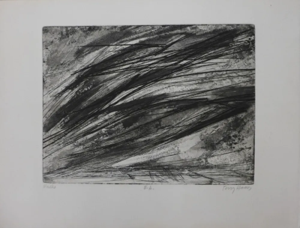 Aguafuerte Haass - Composition