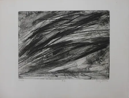 Aguafuerte Haass - Composition