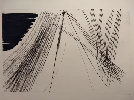 Aguafuerte Hartung - Aguafuertes