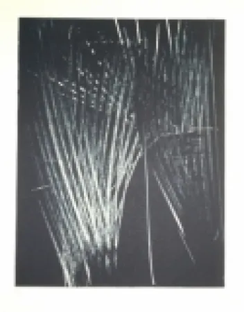 Litografía Hartung - AL 5