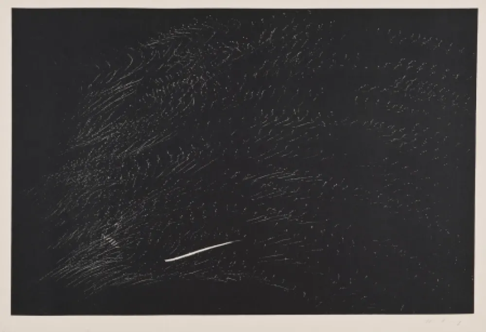 Litografía Hartung - Composición