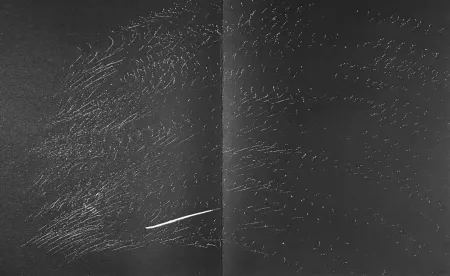 Litografía Hartung - Farandole